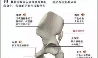 健身教练培训费用多少